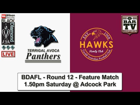 2015 BDAFL Round 12 Feature Match - Terrigal Avoca v Cardiff Hawks