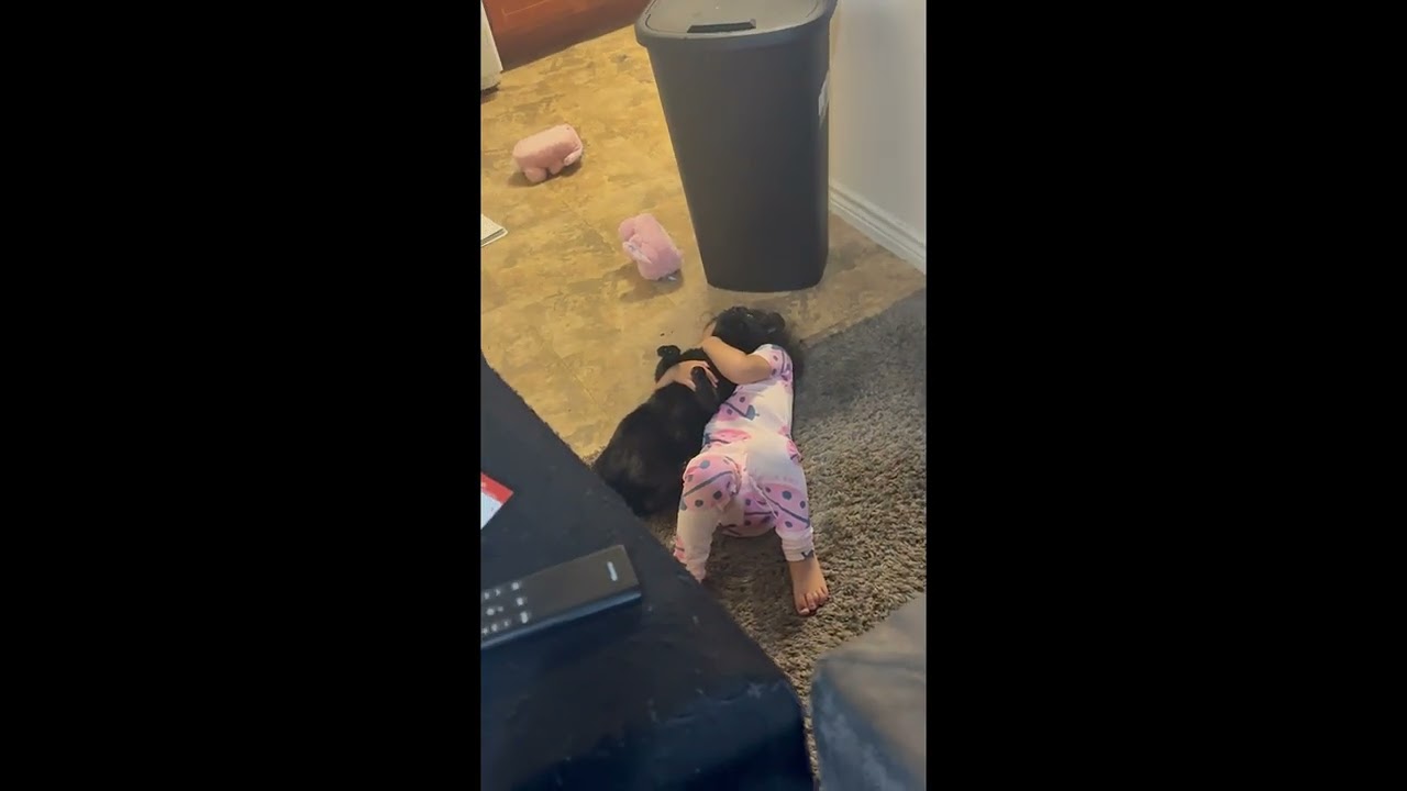 Black Cat Tolerates Girl's Love || ViralHog