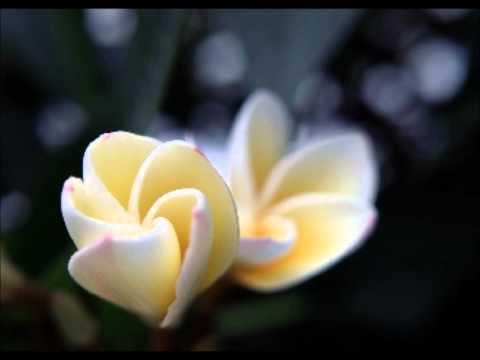 Deejay Neps - Rui Mosi Dina Rmx