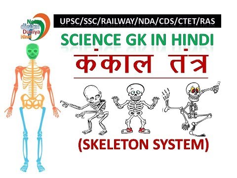 Gk | Gk Hindi | Skeletal System | कंकाल तंत्र | Science Gk Video