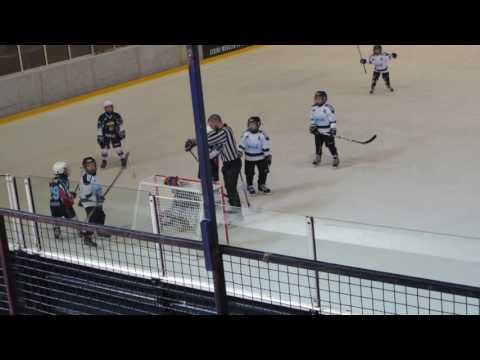 Partizan - Zagreb1, hokej, U8, turnir "Miodrag Šišić Šile" 02.04.2017. Beograd