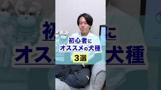 初心者におすすめの犬種3選｜飼う前の注意点