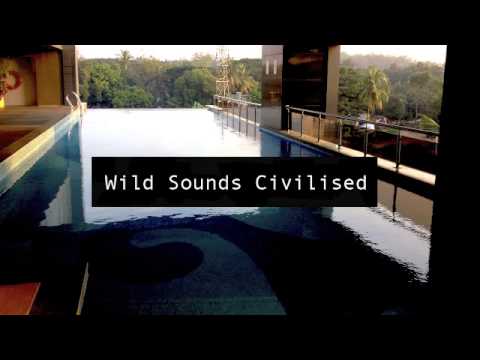 Video thumbnail for If You Go