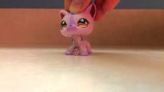 Dear Mr. Santa Claus