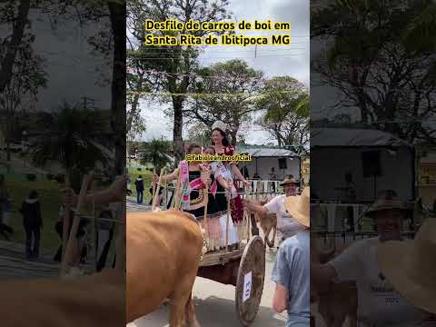 Desfile de Carros de Boi de Santa Rita de Ibitipoca MG