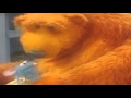 Bear In The Big Blue House Go To Sleep