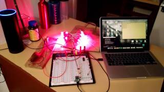 Amazon Echo Control of LED light strand