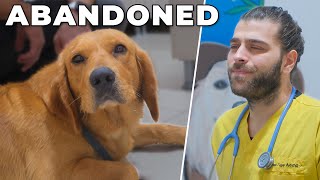BU KÖPEĞİ SAHİPLERİ SOKAĞA ATMIŞ! (Telefonda Söylediklerine Şok Olacak