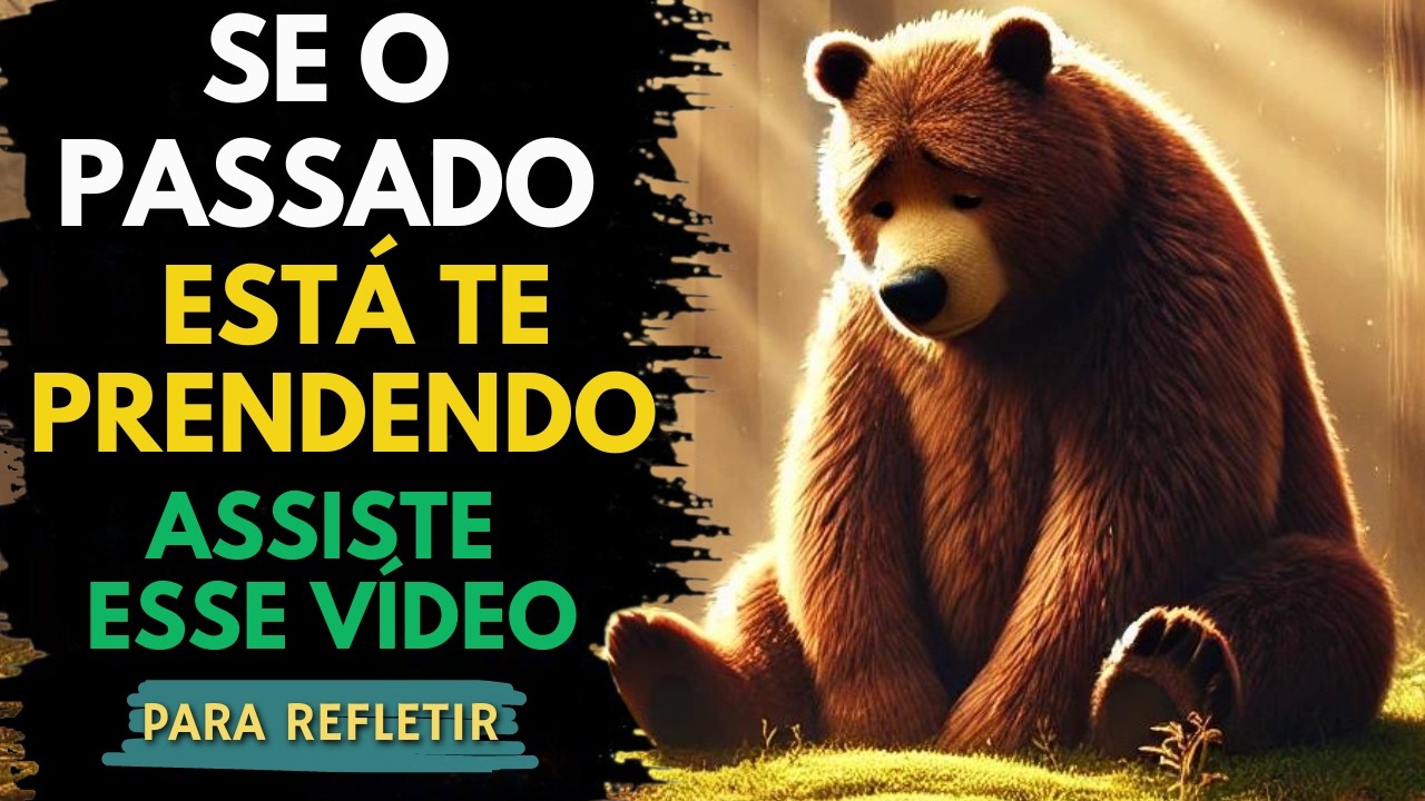 O Urso que Decidiu Perdoar a Si Mesmo - Reflexão, Cura, Superação