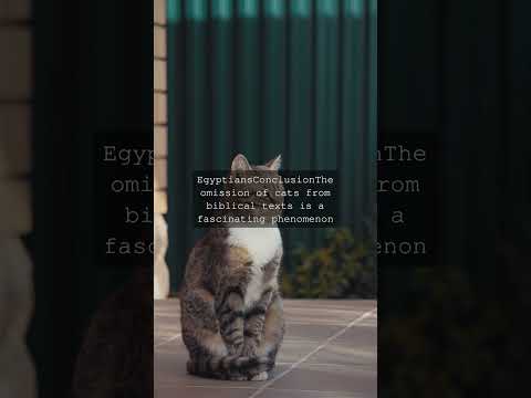 The Feline Enigma Why Cats are Absent from Biblical TextsAs we delve into the pages of...