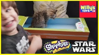 Spark Create Imagine Cleaning Set + Shopkins Blind Bag Toy Review + NEW KITTEN + Willys Toys