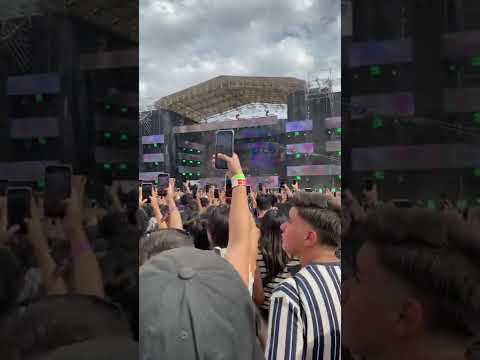 Ceaese -te quiero ver  lollapalooza 2022