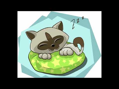 Jan Smit, Alain Clark & Glen Faria - Ik Wil Slapen 😴 - Gitaar Cover 🎸