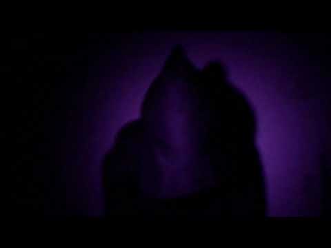 Dets Real (OFFICIAL MUSIC VIDEO)