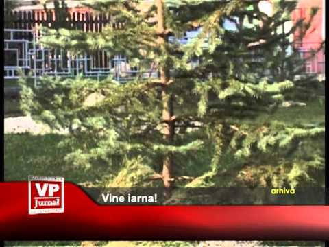 Vine iarna!