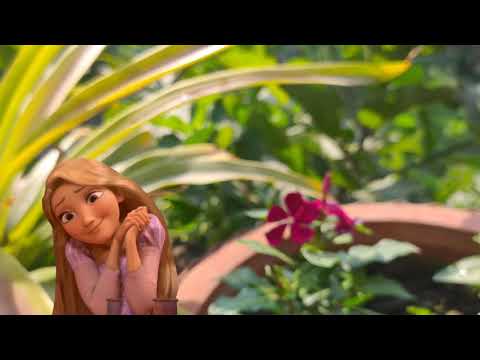 Winter Flowers | Part 2 | Terrace Garden | Beautiful Flowers 🌹🌼