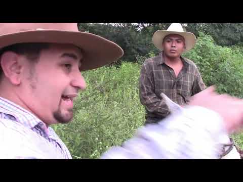(LA SUCIA  2023)  Pelicula De El Rosario Comayagua Honduras