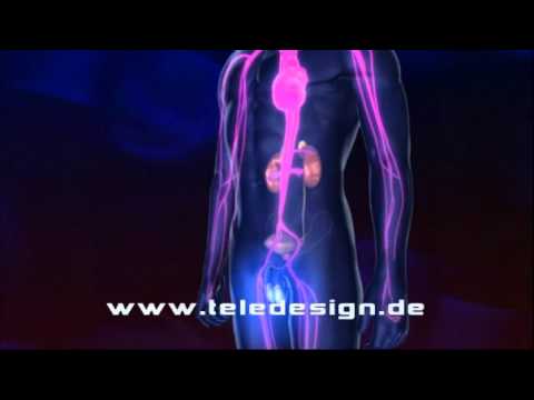 Schmerzen in der Prostata-Bereich Prostata Strahlentherapie in Deutschland