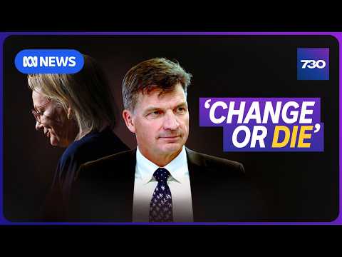 Can Angus Taylor save the Liberal Party? | 7.30