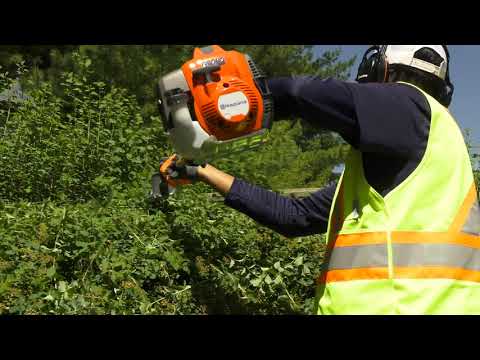 image-Which is better gas or electric hedge trimmer?
