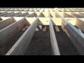 Building A House... Floor and walls 