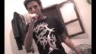 abdou polarized (carcass cover)