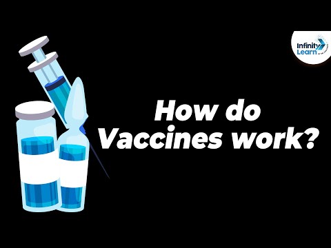 How do vaccines work?