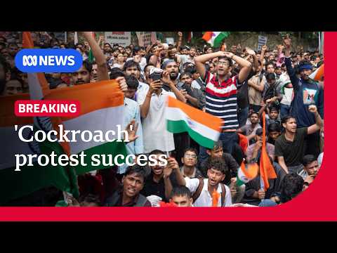 India's education minister resigns after 'Cockroach Party ...