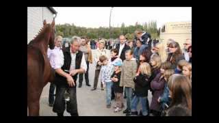 preview picture of video 'Radiobeitrag RLW Hamm: Der Pferdemarkt in Hamm'