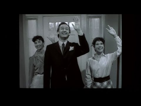 Going Berserk | Hi, Kitten!