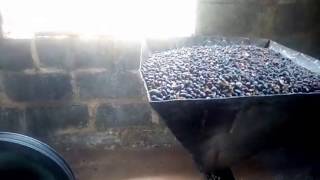 Processing of palm kernel oil using small machine. how to produce Palm kernel oil in Nigeria