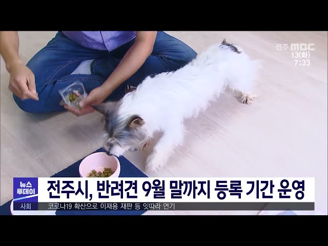 전주시, 반려견 9월 말까지 등록 기간 운영