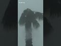 A Palm Tree Is Whipped Around As Hurricane Idalia Made Landfall Idalia Florida Hurricane
