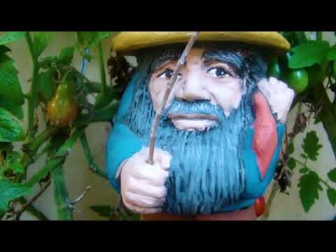 Documental sobre el duende "Momoy" Mito de Boconó, Venezuela