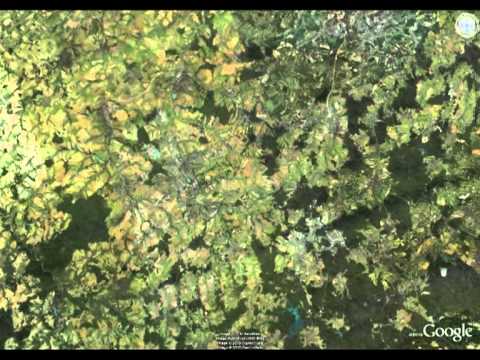 Digitale Reise nach Reinsdorf