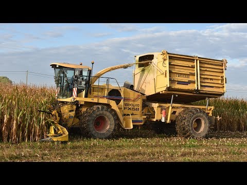 New Holland FX58 bunkerhakselaar - Loonw.  Spruytte - mais hakselen