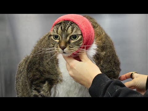 She's not a loaf...she's the whole darn bakery