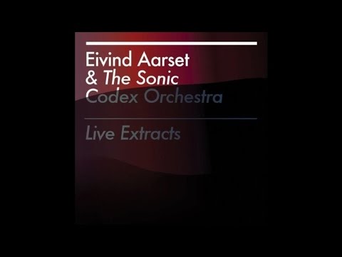 Eivind Aarset & The Sonic Codex Orchestra - Bla Meis