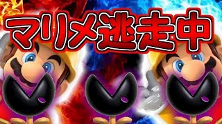 マリメ逃走中!!迫りくるハンターから逃げきれ【マリオメーカー実況】