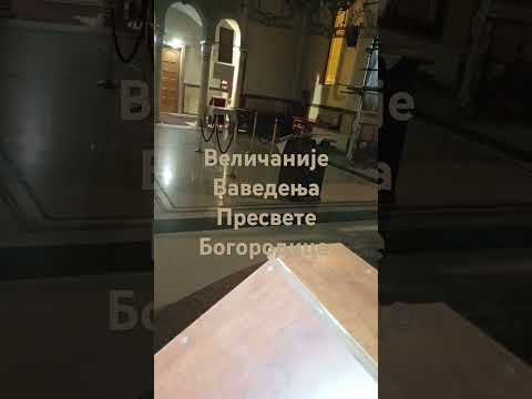 Величаније Ваведења Пресвете Богородице 🙏☦️⛪💒 #спц #појање #црква