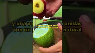 2 árboles en 1