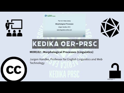 MOR102 (VLC): Morphological Processes + Operations (Linguistics), Study 2