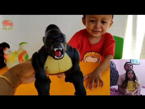 Reaction Anak 3 Tahun Nonton video Mainan Gorilla, Tikus, Ayam Betina by DMG Gavin