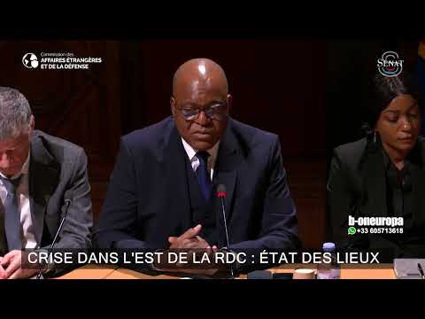 Discours de clôture de S.E. Professeur Émile Ngoy Kasongo au Sénat français