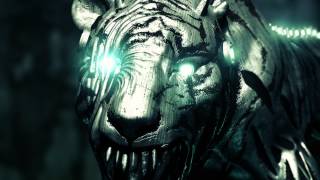 Drunken Tiger 'Sweet Dream'