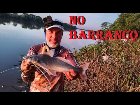 PESCARIA NO BARRANCO DO RIO IVINHEMA, FAZENDA SILVANA