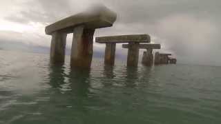 underwater video of a large school of monster snook
