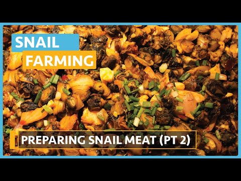 Snail Farming Lesson 1 Introduction