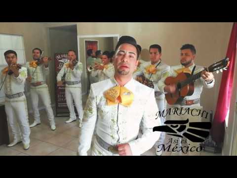 Le hace falta un beso / cover / mariachi así es México / contrataciones : 214-414-8169