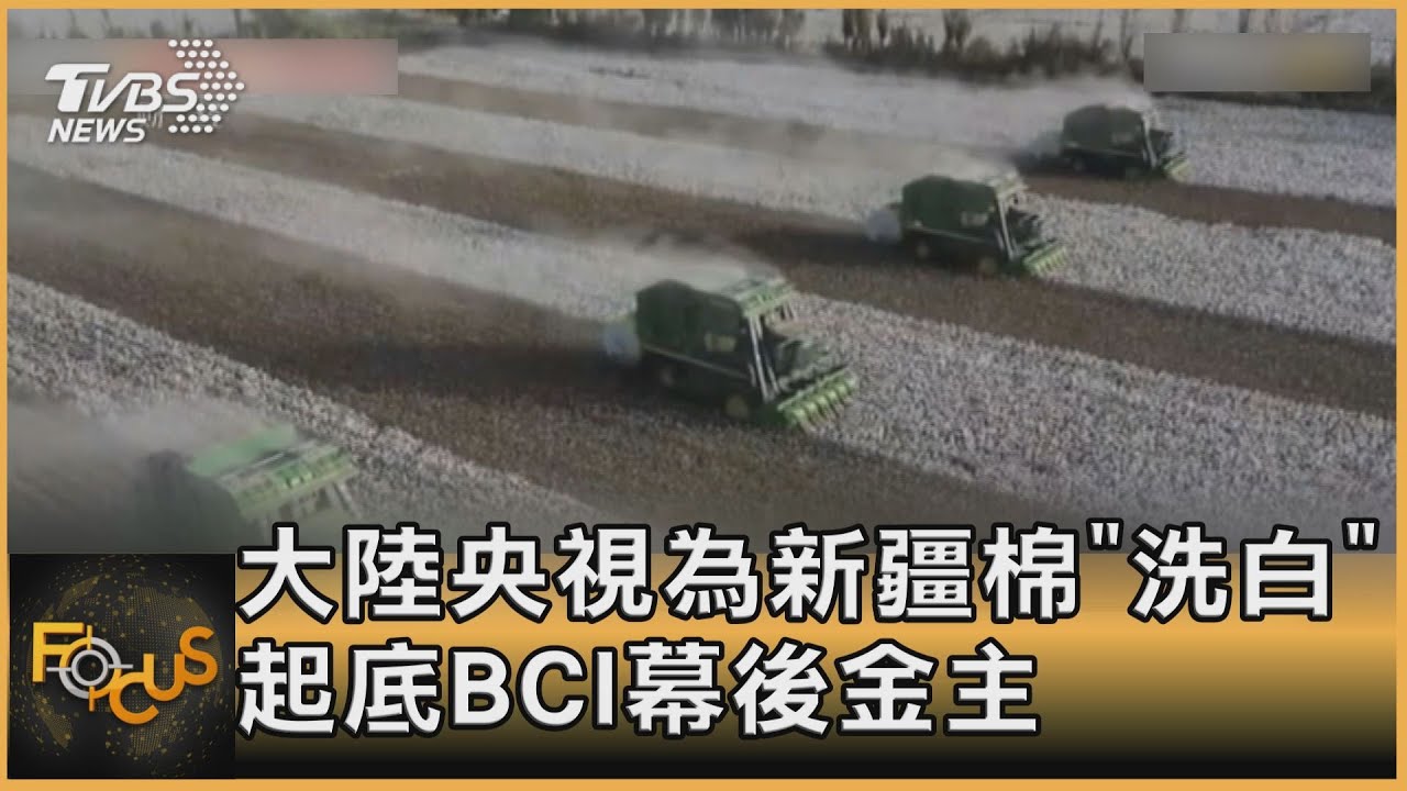 大陸央視為新疆棉「洗白」 起底BCI幕後金主